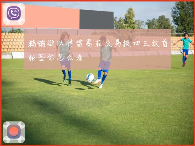 鹈鹕欲以特雷墨菲交易换回三枚首轮签你怎么看