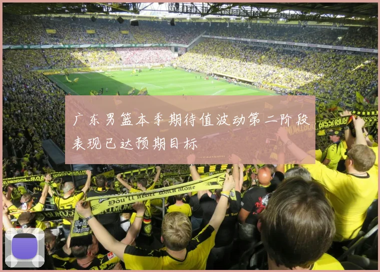 广东男篮本季期待值波动第二阶段表现已达预期目标
