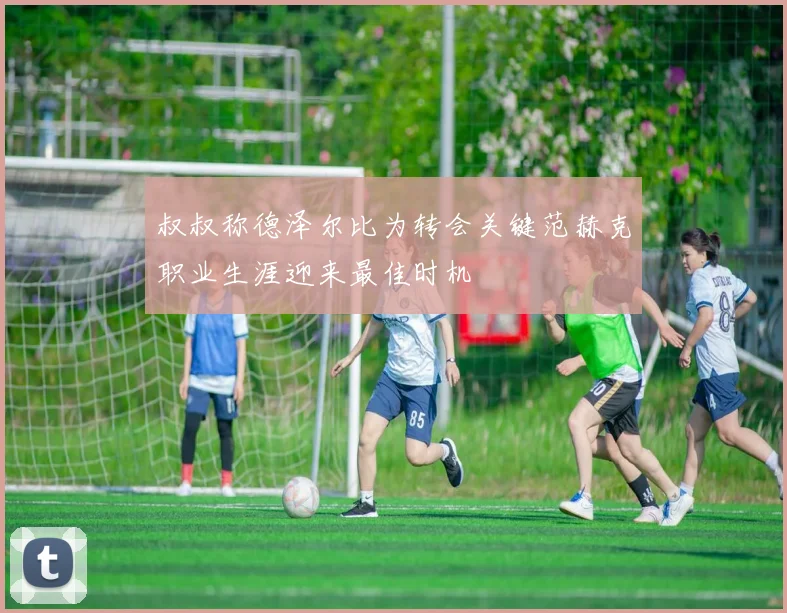 叔叔称德泽尔比为转会关键范赫克职业生涯迎来最佳时机