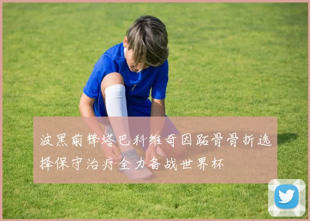 波黑前锋塔巴科维奇因跖骨骨折选择保守治疗全力备战世界杯